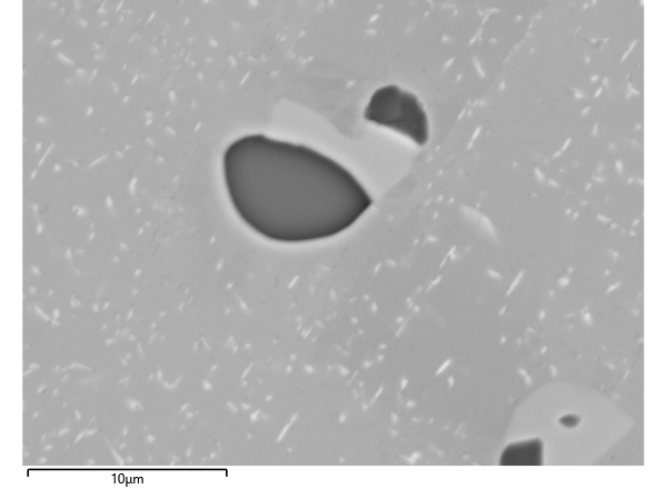 Figure 2. BSE image of a steel sample with inclusions with sizes ranging from 100nm to >5 µm